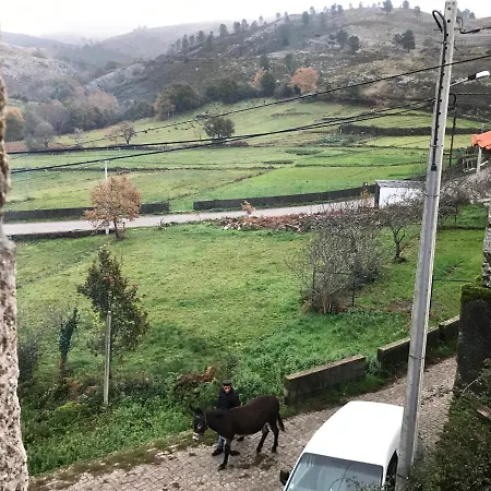 Refugio Dos Macedos بيت خشبي *