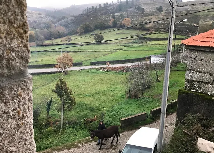 Refugio Dos Macedos 山林小屋 *